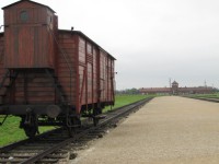 /album/galeria-12-auschiwitz-polonia/bild-463-jpg/